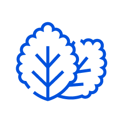 infinia